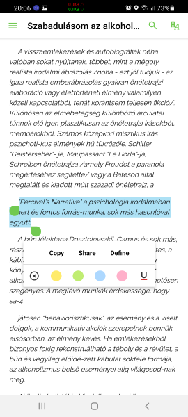 Kijelölés Opció